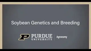 Dr. Katy Martin Rainey - Soybean Genetics & Breeding