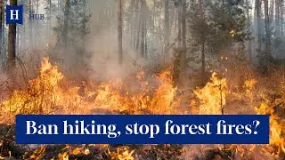 Nova Scotia's hiking ban: The Hub debates if the forest lockdown is justified