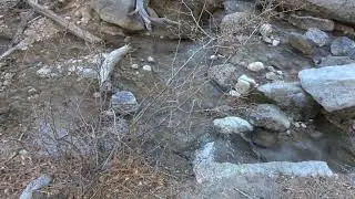 Lone Pine Creek, Whitney Portal, California