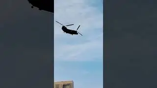 Singapore Prade Heli Performance