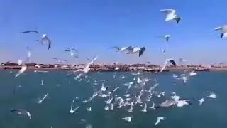 ❤️ Dev bhumi dwarka district view ❤️