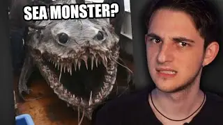 Ужасающий контент Tik Tok AI ужасает.
