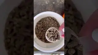 Come feed my horses with me