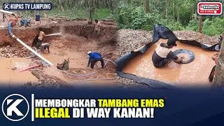 TERUNGKAP! PENAMBANGAN EMAS ILEGAL DI WAY KANAN MARAK!!!