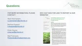 Financier Ties to Palm Oil Deforestation