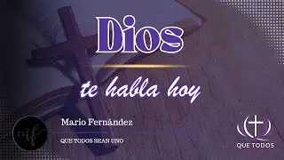 Ven y verás