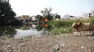 Vanishing ponds need preservation, conservation and rejuvenation