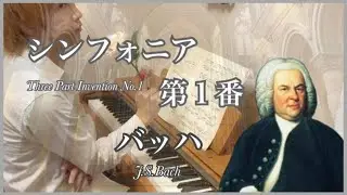 【全曲チャレンジ】シンフォニア 第1番 ハ長調：バッハ (Sinfonia No.1 in C Major : J.S.Bach)
