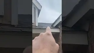 Potential roof rat entry points. ￼ Roof rat removal needed. #RoofRatRemoval #RatRemoval. ￼