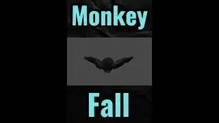 Monkey fall #gorillatagfun