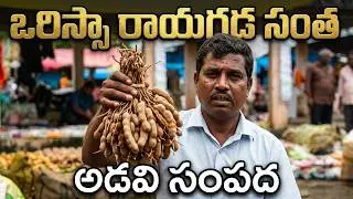 Orissa Rayagada Market || Orissa Rayagada Market || Santha _ Rayagada santha