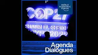 Beyond COP27: Leaders on the Road Ahead