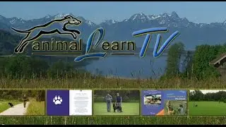animal learn TV - 26.09.2014