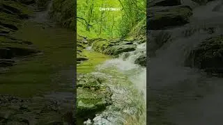 Bubbling Brook 🌿 Calm Water Sounds