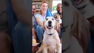 DOG! Unconditional Love. You love it. #dog #doglover #dogs #foryou #viral #shorts