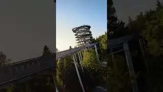 Der Waldturm am WaldWipfelWeg