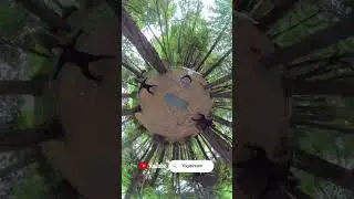 Forest Flow 360&deg; Yoga #vr #yogaoutdoors #metaquest #metaverse #yoga