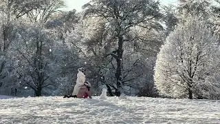 The first snow in New York 