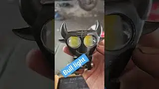 bull light