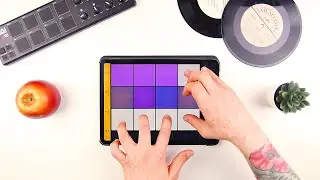 Bass House Sample Pack Kitty by Drum Pads 24