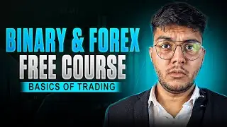 Бесплатный курс Quotex и торговли на Форекс | Эпизод 1 &mdash; Торговля и её виды