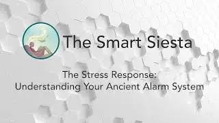 Power-nap Learning: Understanding Stress (Your Body's Alarm System) | 20 Min Calming Rest