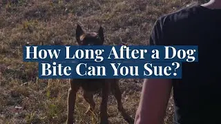 How Long After a Dog Bite Can You Sue?