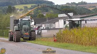 Hoffentlich kommt kein Verkehr Anhäckseln an der Straße Fendt Katana 650 Maisernte Maishäckseln