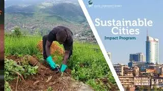 Facing Freetown's Urban Challenges