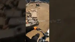 Viral video Biker chasing dog #viral  #trading #dog ##bike bik