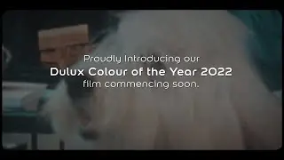 FIRST LOOK: How Dulux chose Colour of the Year 2022 Bright Skies&trade;