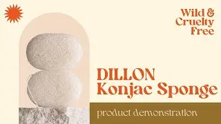 DILLON Konjac Sponge Review & Demo - Wild & Cruelty Free Vegan & Cruelty Free Skincare