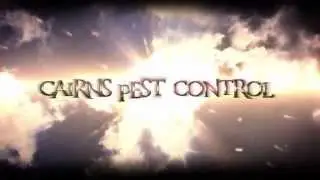 Cairns Pest Control Flyer