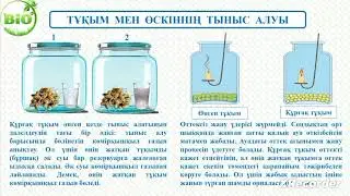Өсімдіктердегі тыныс алу  #biology #растения #дыхание #оттегі #кислород #plants #breathing #science