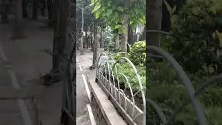 Thu về kh&ocirc;ng c&oacute; em #quangio #bolerohay