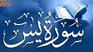 Surah Yaseen ( yasin surah) yaseen surah #surahyaseen #quran #islam