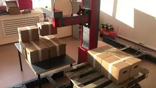 Aripix Robotics Palletizing Robot
