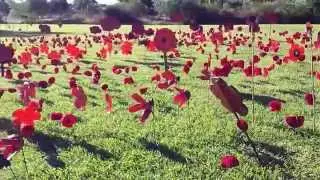 Anzac Day 2015 Merredin Western Australia.