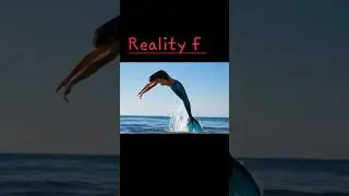 👉 Stranded Mermaid Rescued After Storm 🌊🧜&zwj;♀️ #MermaidRescue #FantasyShorts #Mermaid #EmotionalStory