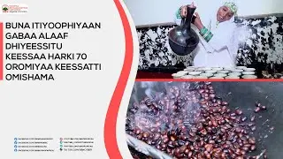 Buna Itiyoophiyaan gabaa alaaf dhiyeessitu keessaa harki 70'n Oromiyaa keessatti omishama.