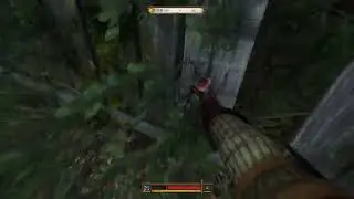 How to Find the Carcass in the Ruined Farm for Forbidden Fruit Quest in Kingdom Come Deliverance 2