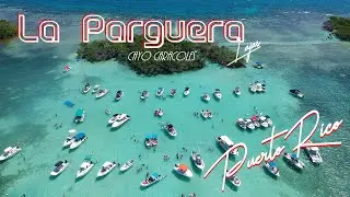 La Parguera, Lajas Puerto Rico