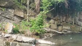 Beautiful river coming from the blue mountain 