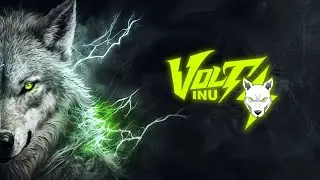 VOLT INU - VOLTED DRAGON SAILOR CLUB NFTS WITH SEVERAL UTILITIES