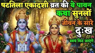षटतिला एकादशी की यह कथा सुन ली तो जीवन के सारे पाप और दुख स्वयं नष्ट हो जाएंगे!| Ekadashi vrat katha