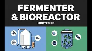 Fermenter & Bioreactor | Structure, Components & Types Explained | Mootechie