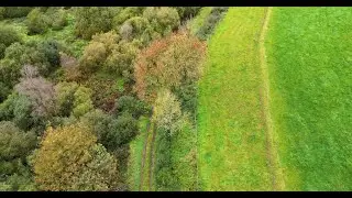 The Importance of Natural Hedgerows in County Cavan
