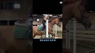 #relatable #equestrian #hunterjumper