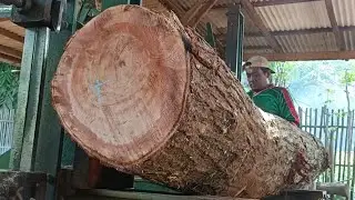 The amazing wood cutting process of the beauty in wood in a sawmill 