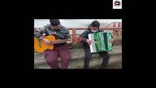 Acordeonista ulises ojeda